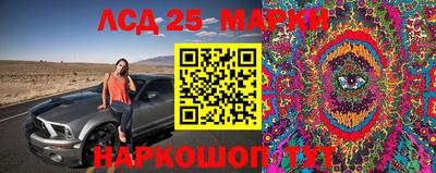 apvp Донской