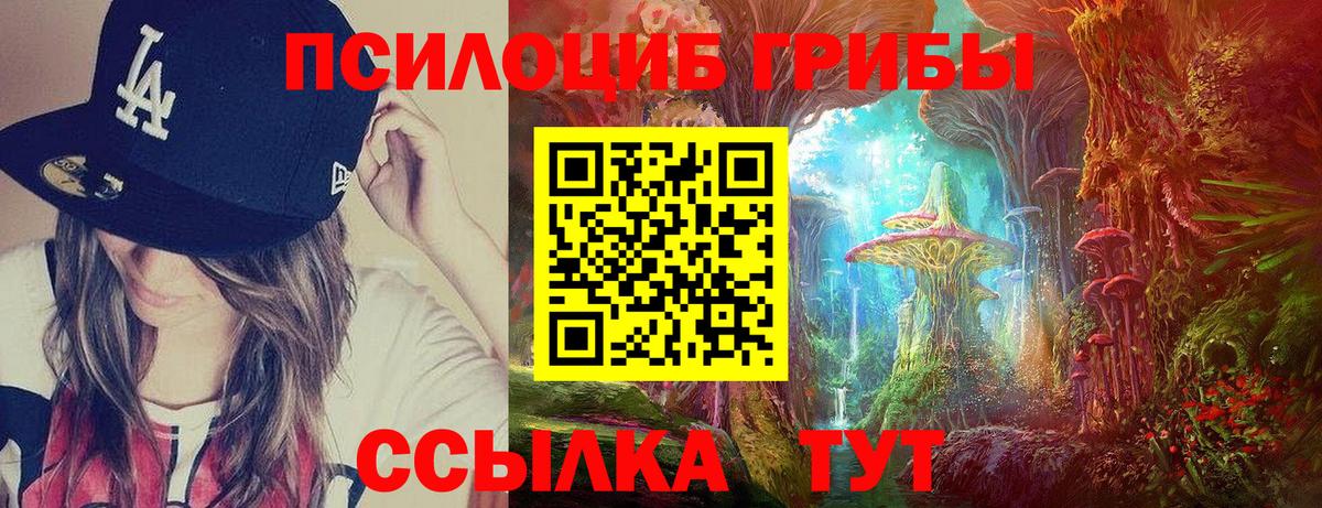Галлюциногенные грибы Psilocybine cubensis  Галлюциногенные грибы GOLDEN TEACHER  Вход с VPN  Добрянка 
